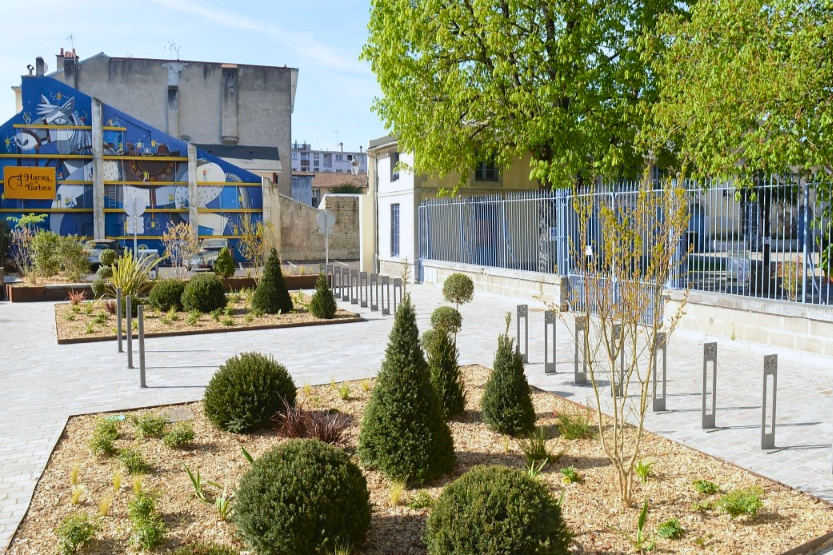Accueil Haras Tarbes